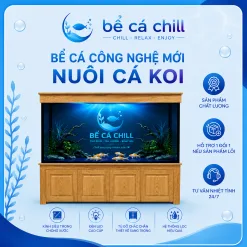 BỂ CÁ CÔNG NGHỆ MỚI NUÔI CÁ KOI