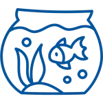 icon-be-ca