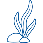icon-trang-tri