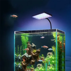 Đèn led đổi màu