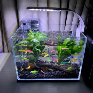 Đèn led trang trí hồ cá