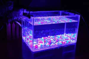 Đèn led cho bể cá mini