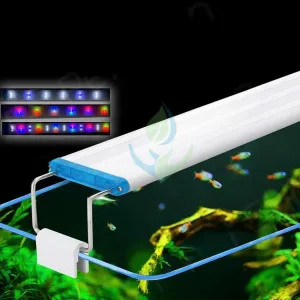 Đèn cho hồ cá mini