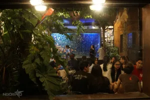 Hồ cá tại quán cafe