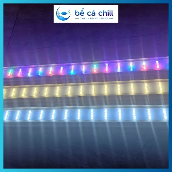 Ba màu thông dụng trong đèn led trang trí bể cáBa màu thông dụng trong đèn led trang trí bể cá
