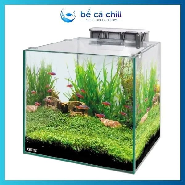 Bể cá kích thước 30x30x30 có đèn led trang trí bể cá
