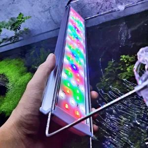 Đèn Led RGB hồ cá