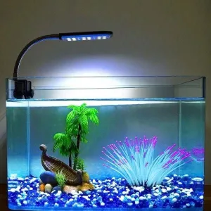 Một chiếc hồ cá mini để bàn trang trí đẹp mắt với hệ thống đèn chiếu sáng giúp không gian làm việc thêm sinh động.