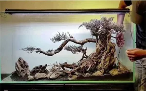 Cách sử lí lũa để không bị hư nước
