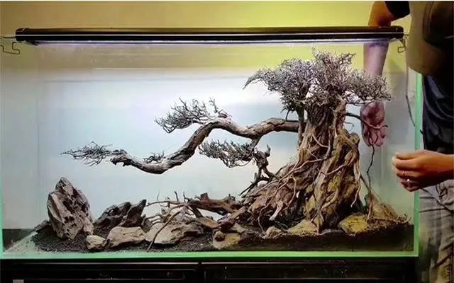 Cách sử lí lũa để không bị hư nước