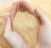 Cát trang trí bể cá là gì? Vì sao đây là vật liệu không thể thiếu?