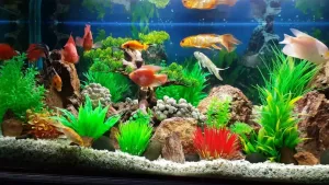 Đá Trang Trí Bể Cá Đẹp – Bí Quyết Tạo Không Gian Thủy Sinh Tự Nhiên