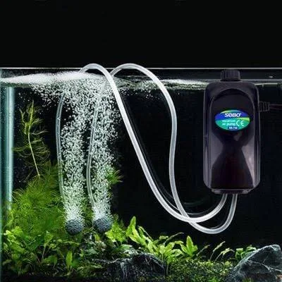 Những sai lầm phổ biến khi sử dụng máy sủi oxy