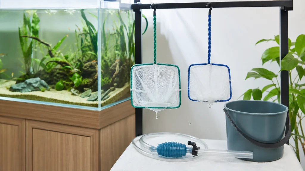 Vệ sinh và bảo quản vợt vớt cá đúng cách