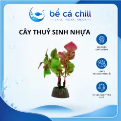 Alternative view of Cây Nhựa Mini