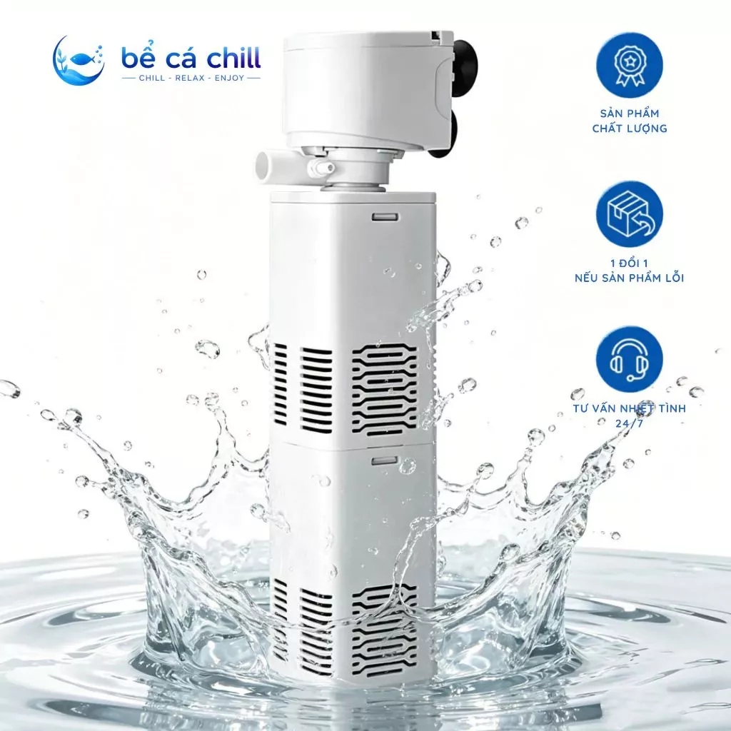 Lọc bể cá Máy bơm chìm