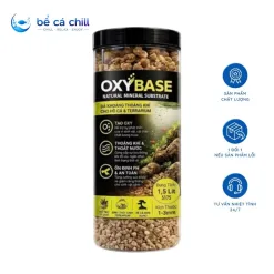 OXY BASE Đá Khoáng