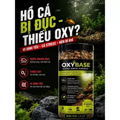 Alternative view of OXY BASE Đá Khoáng